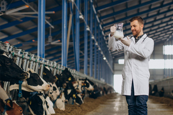 help in milk production